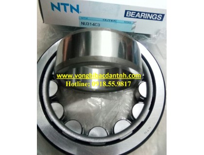 BẠC ĐẠN NU314.C3 NTN